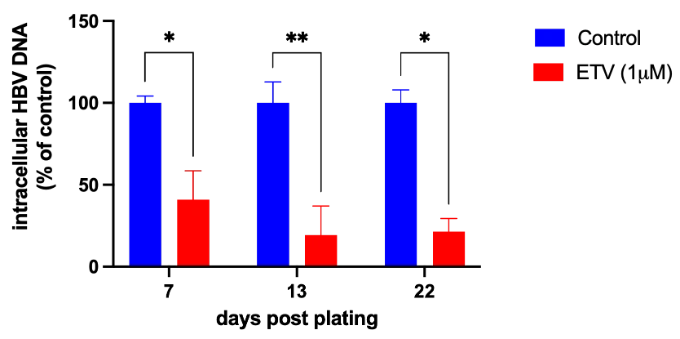 Therapeutic validation - Entecavir - Graph showing intracellar HBV DNA according to the number of days after plating