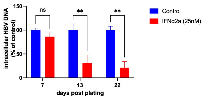 Therapeutic validation - Interferon (25nM) - Graph showing intracellar HBV DNA according to the number of days after plating