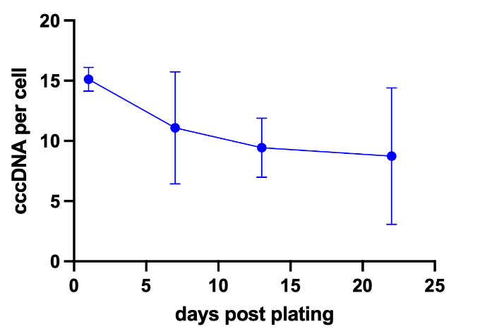 Viral Kinetics & Biomarker - Graph showing cccDNA over time