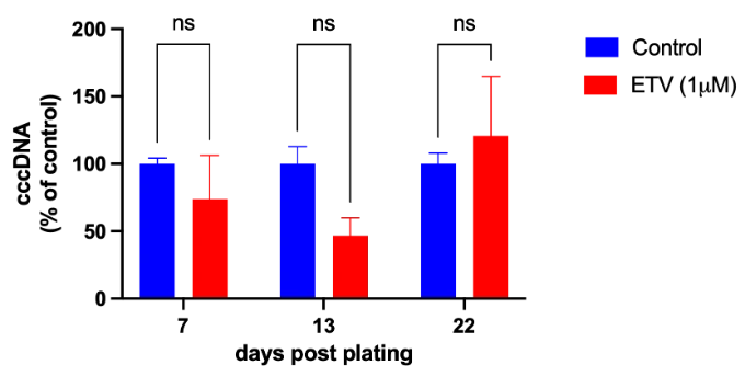 Therapeutic validation - Entecavir - Graph showing cccDNA according to the number of days after plating