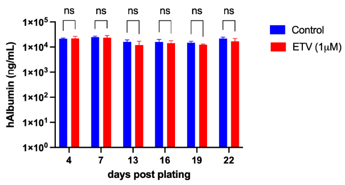 Therapeutic validation - Entecavir - Graph showing hAlbumin according to the number of days after plating