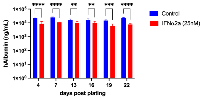 Therapeutic validation - Interferon (25nM) - Graph showing hAlbumin according to the number of days after plating